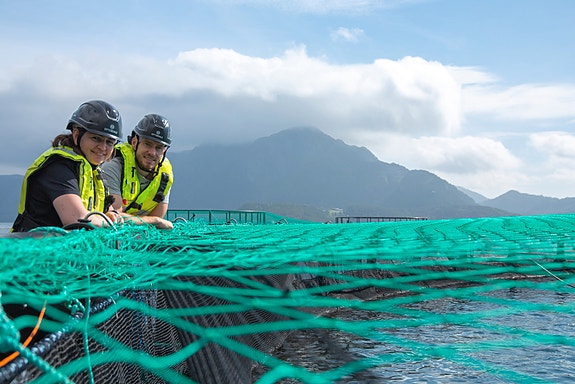 Bilde 1 av 5 i jobbannonse-galleriet