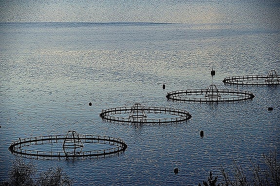 Bilde 3 av 4 i jobbannonse-galleriet