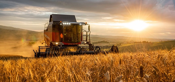 Bilde 3 av 6 i jobbannonse-galleriet