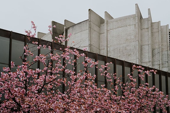 Bilde 3 av 8 i jobbannonse-galleriet