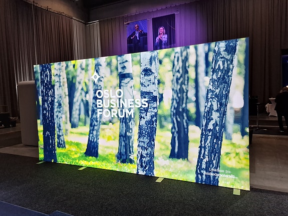 Bilde 9 av 9 i jobbannonse-galleriet