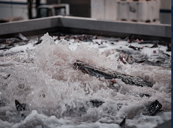 Bilde 3 av 3 i jobbannonse-galleriet