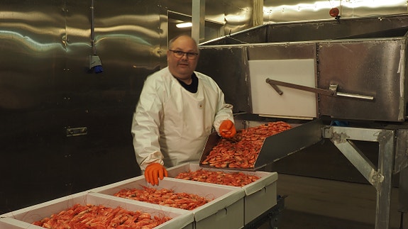 Bilde 1 av 1 i jobbannonse-galleriet