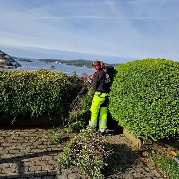 Bilde 3 av 8 i jobbannonse-galleriet