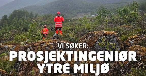 Bilde 1 av 1 i jobbannonse-galleriet