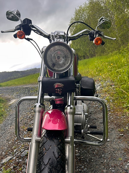 Harley-Davidson XL 883 Sportster 9 of 21