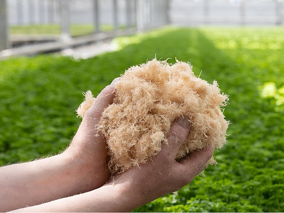 Bilde 1 av 2 i jobbannonse-galleriet