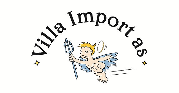 VILLA IMPORT AS logo