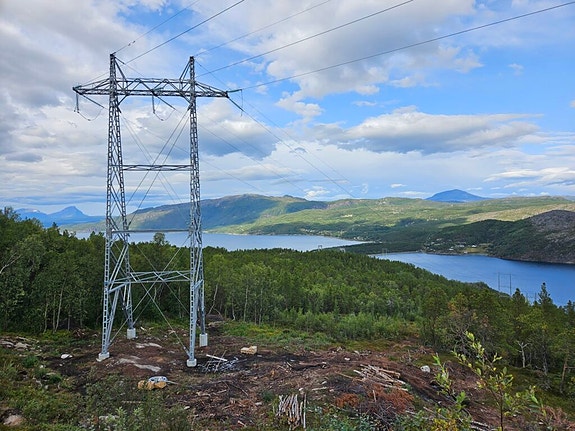 Bilde 4 av 8 i jobbannonse-galleriet