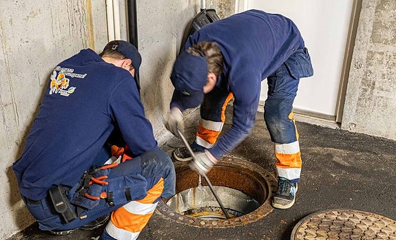 Bilde 2 av 10 i jobbannonse-galleriet