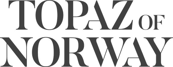 TOPAZ ARCTIC SHOES AS logo