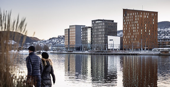 Bilde 2 av 3 i jobbannonse-galleriet