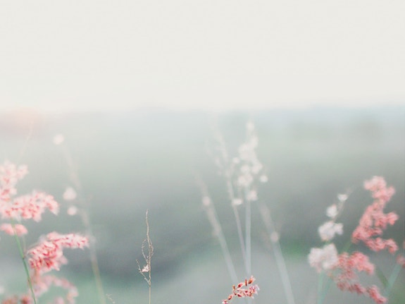 Bilde 1 av 1 i jobbannonse-galleriet