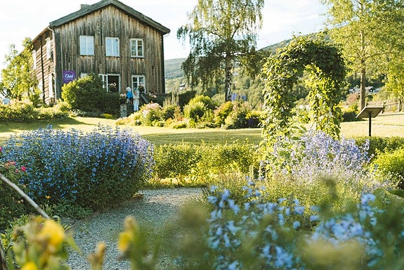 Bilde 4 av 7 i jobbannonse-galleriet