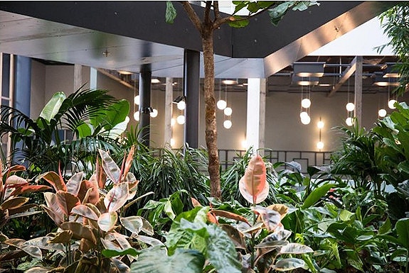 Bilde 3 av 10 i jobbannonse-galleriet