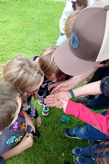 Skoleelever studerer insekter