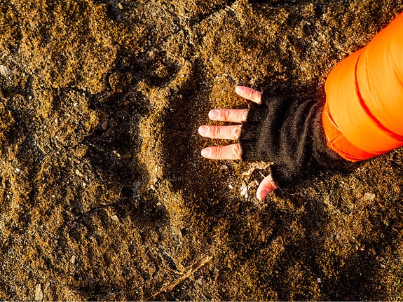 Bilde 1 av 8 i jobbannonse-galleriet