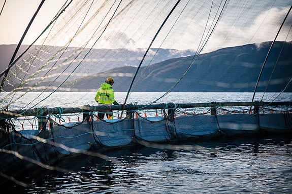 Bilde 4 av 4 i jobbannonse-galleriet