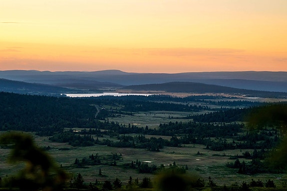 Foto: Ingvild Vestheim