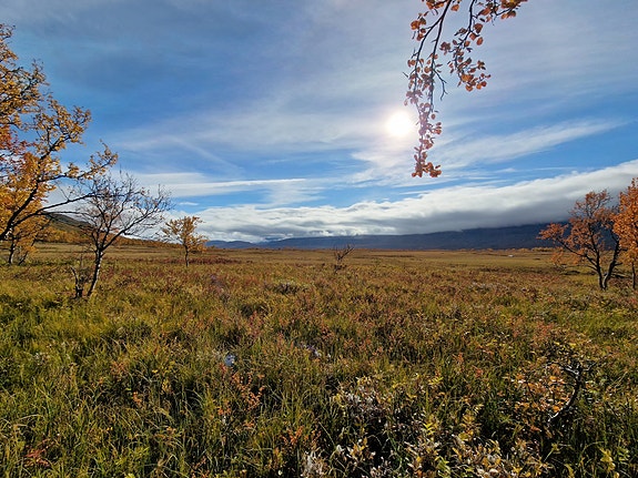 Bilde 1 av 2 i jobbannonse-galleriet