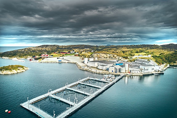 Bilde 3 av 4 i jobbannonse-galleriet