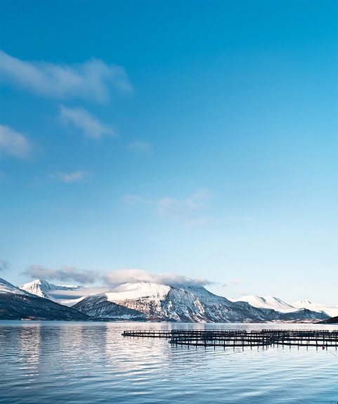 Bilde 1 av 2 i jobbannonse-galleriet
