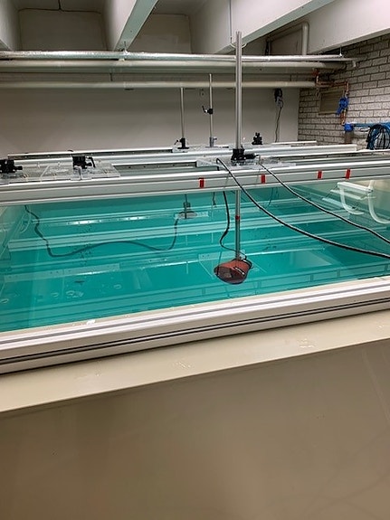 Testing of PingMe sensor in own water tank in Fossegrenda