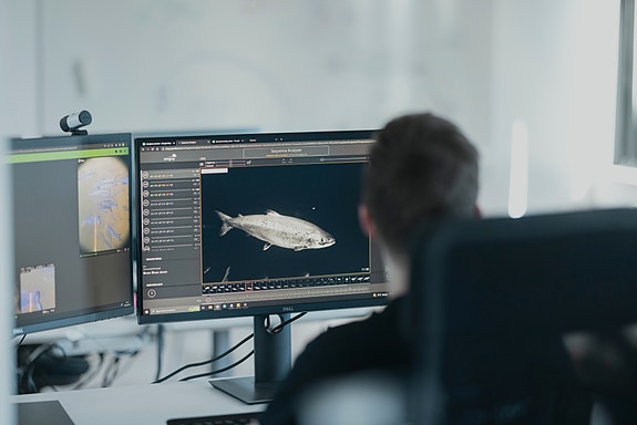 Bilde 6 av 10 i jobbannonse-galleriet