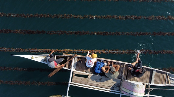 Bilde 1 av 3 i jobbannonse-galleriet