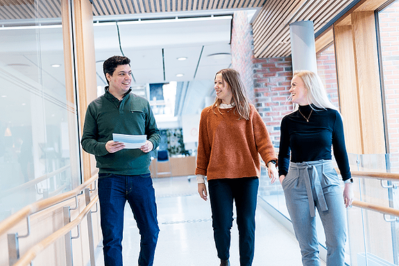 Bilde 1 av 4 i jobbannonse-galleriet