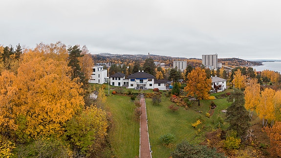 Bilde 3 av 3 i jobbannonse-galleriet