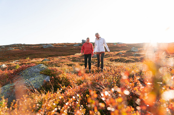 Bilde 4 av 4 i jobbannonse-galleriet