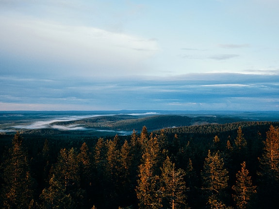 Bilde 1 av 3 i jobbannonse-galleriet