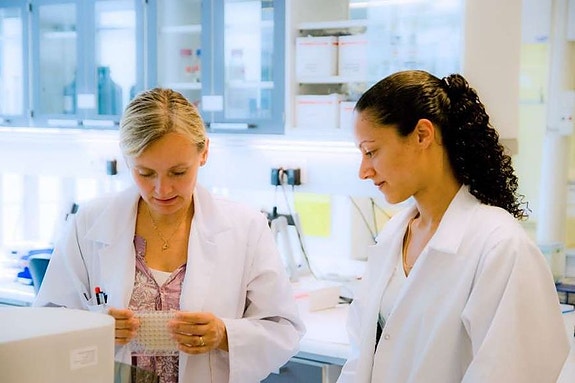 Bilde 3 av 7 i jobbannonse-galleriet