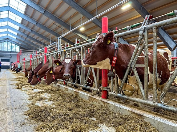 Bilde 6 av 7 i jobbannonse-galleriet