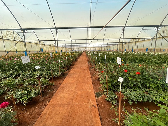 Bilde 4 av 8 i jobbannonse-galleriet