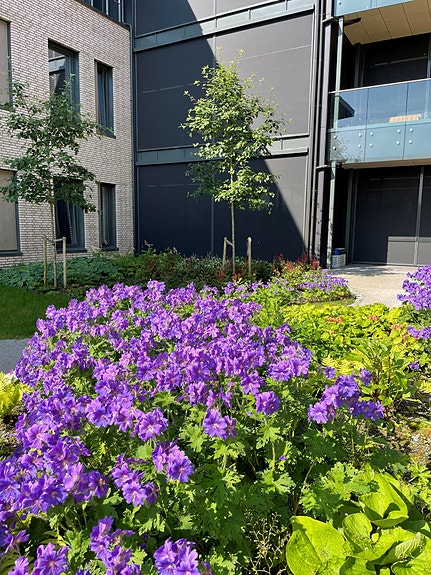 Bilde 1 av 4 i jobbannonse-galleriet