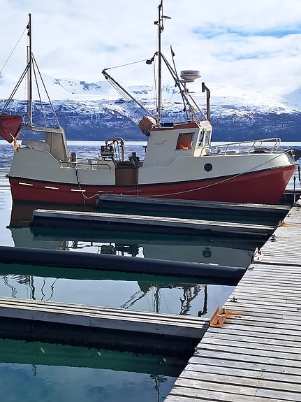 Til salgs: Viksund 32 Fot - 1982 | FINN.no