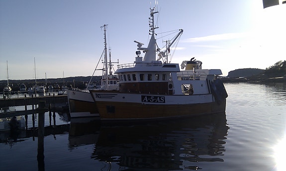 Bilde 6 av 6 i jobbannonse-galleriet