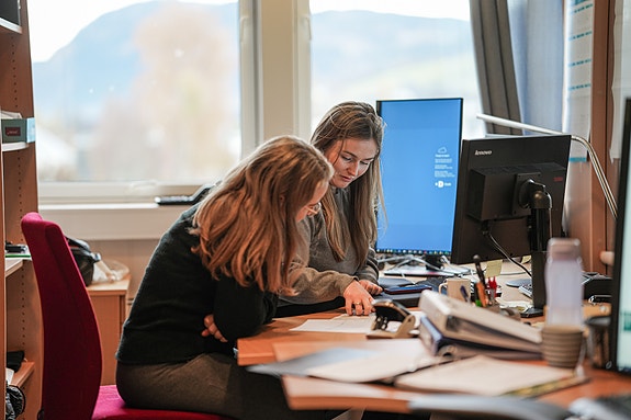 Bilde 2 av 3 i jobbannonse-galleriet