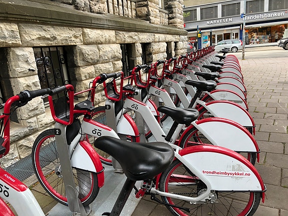 Bilde 1 av 1 i jobbannonse-galleriet