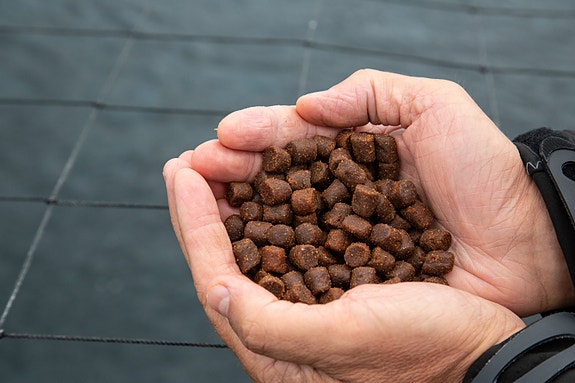 Bilde 2 av 3 i jobbannonse-galleriet