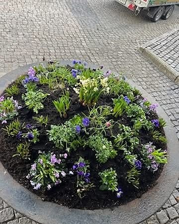 Bilde 4 av 8 i jobbannonse-galleriet