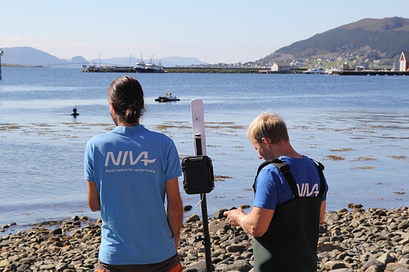 Bilde 1 av 7 i jobbannonse-galleriet