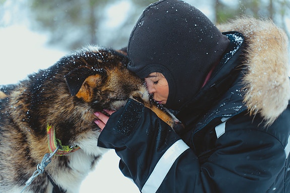 Bilde 5 av 10 i jobbannonse-galleriet