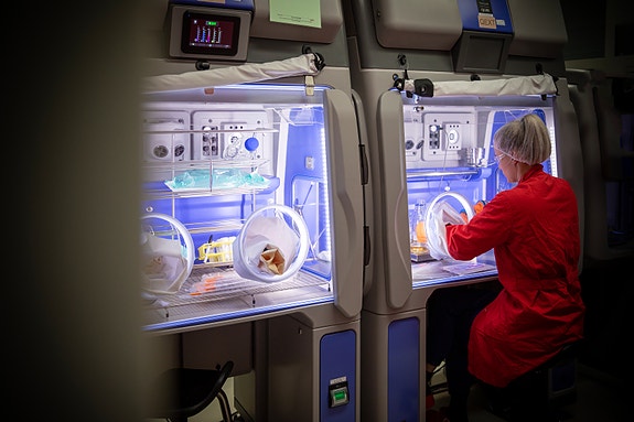 Bilde 1 av 2 i jobbannonse-galleriet