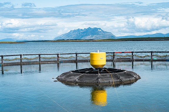 Bilde 2 av 3 i jobbannonse-galleriet