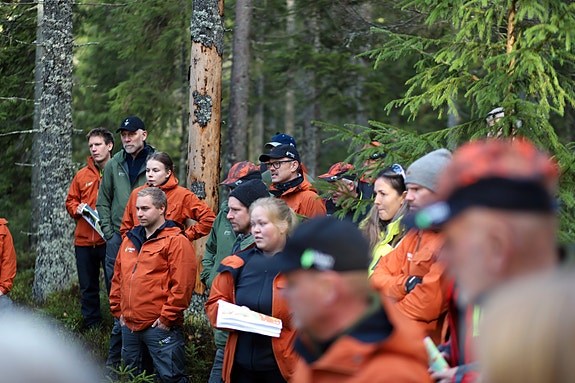 Bilde 2 av 3 i jobbannonse-galleriet