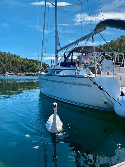 Bavaria 34 Cruiser STYLE 2020 - Båtplass ut sesongen + boblehavn i vinter 25 of 30