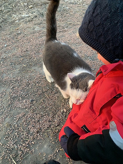 Bilde 6 av 8 i jobbannonse-galleriet